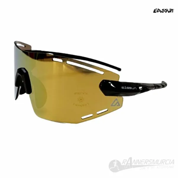 Armour S Black Frame/Gold L