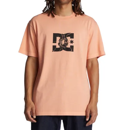 Camiseta de hombre  DC manga corta DC SHATTER Papaya Punch Enzyme Wash REF-ADYZT05234 SHATTER (MFQW) rosa salmón