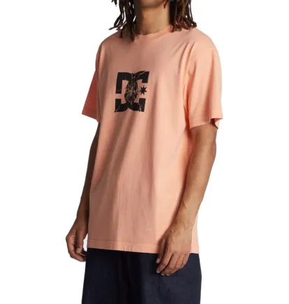 Camiseta de hombre  DC manga corta DC SHATTER Papaya Punch Enzyme Wash REF-ADYZT05234 SHATTER (MFQW) rosa salmón