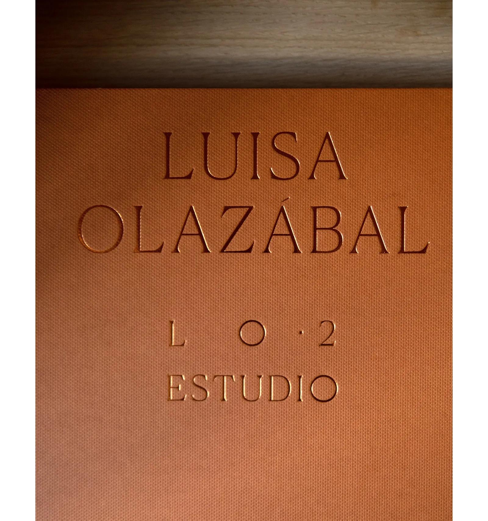 LIBRO L O 2 ESTUDIO LUISA OLAZABAL