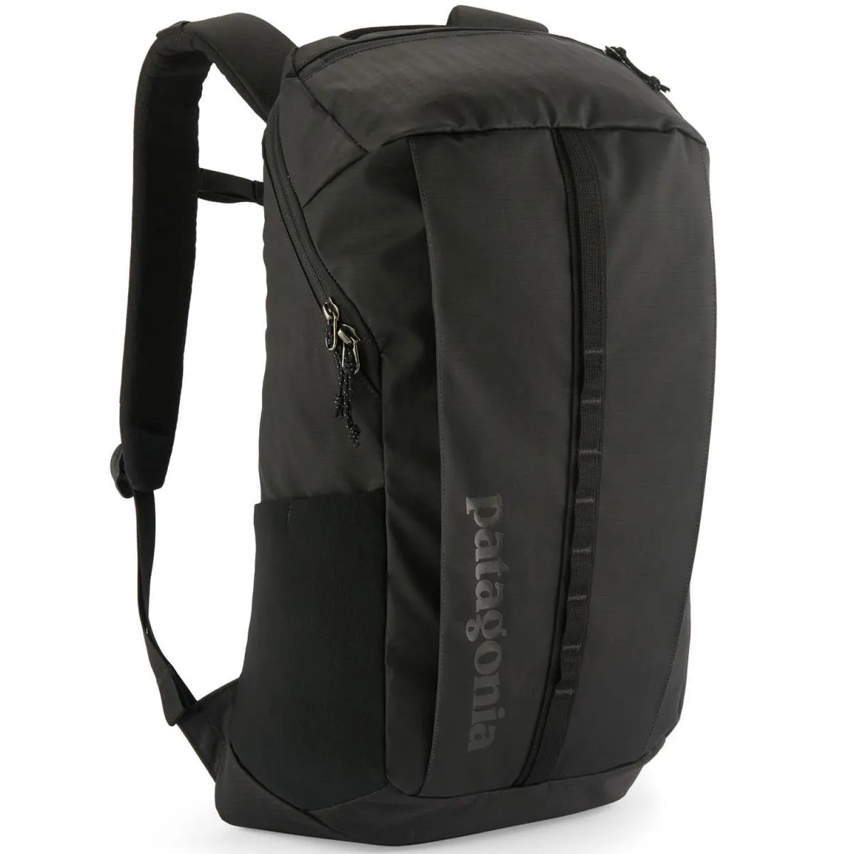 Mochila patagonia Black Hole Pack 25L