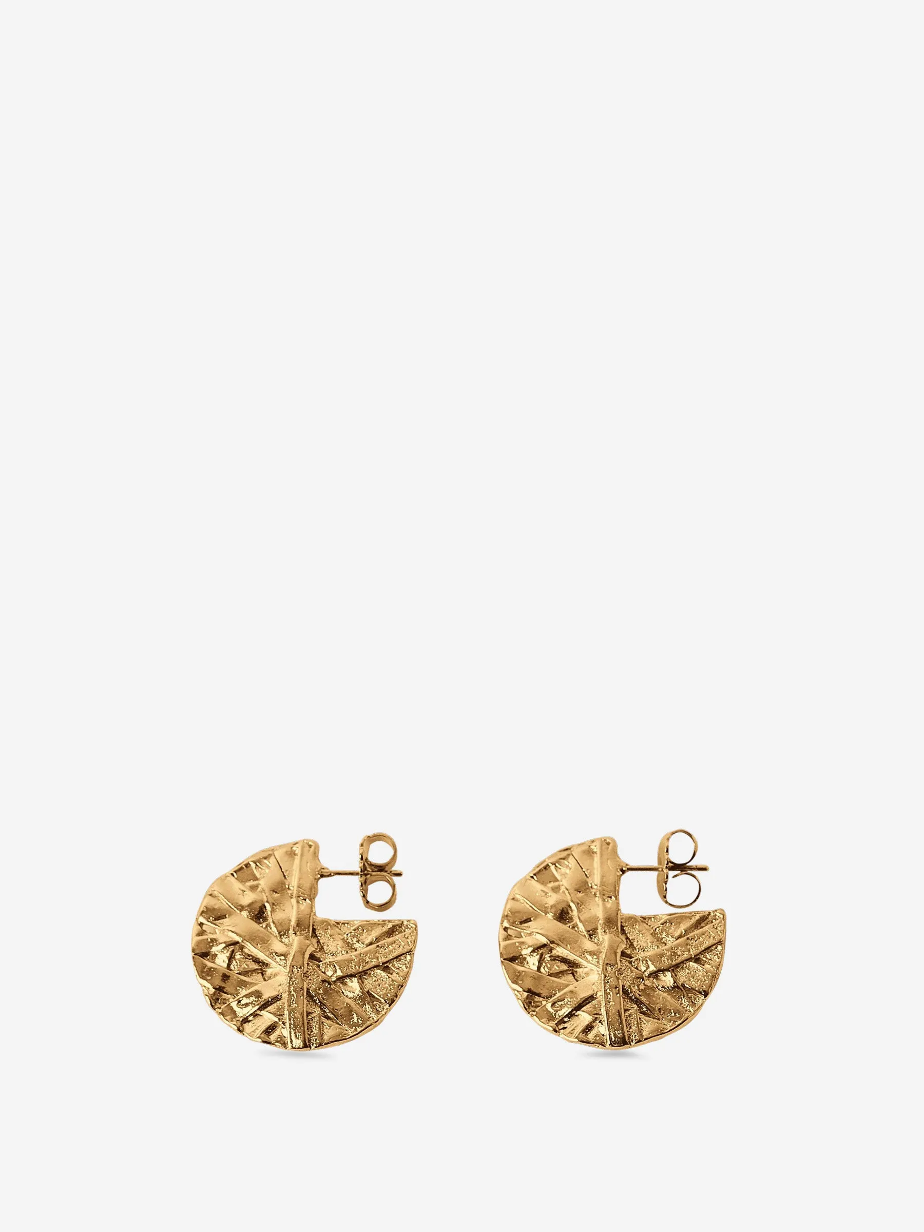 Pendientes Medium Icon Hoops